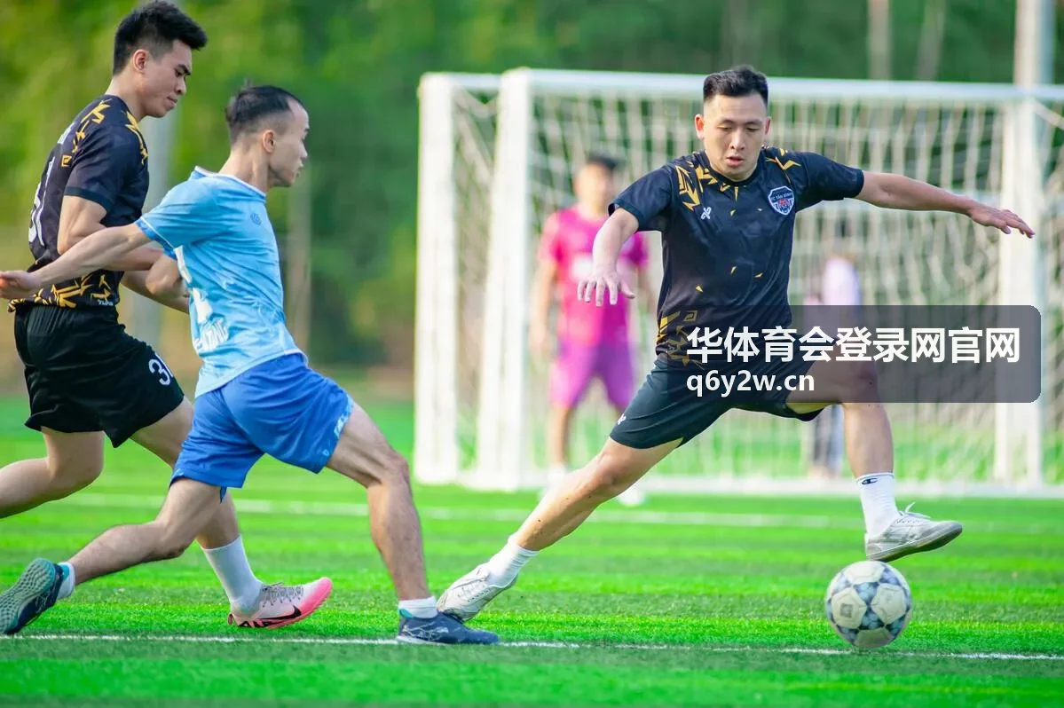华体育会登录网官网任务阶段进度示意图